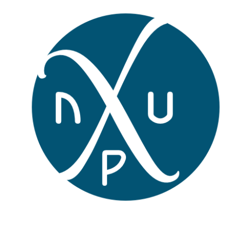 Das Logo von NuPerspective mit dunklem Hintergrund
