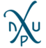 Logo von NuPerperspective - die Bewegung zur Erfindung des Trans-Christentums